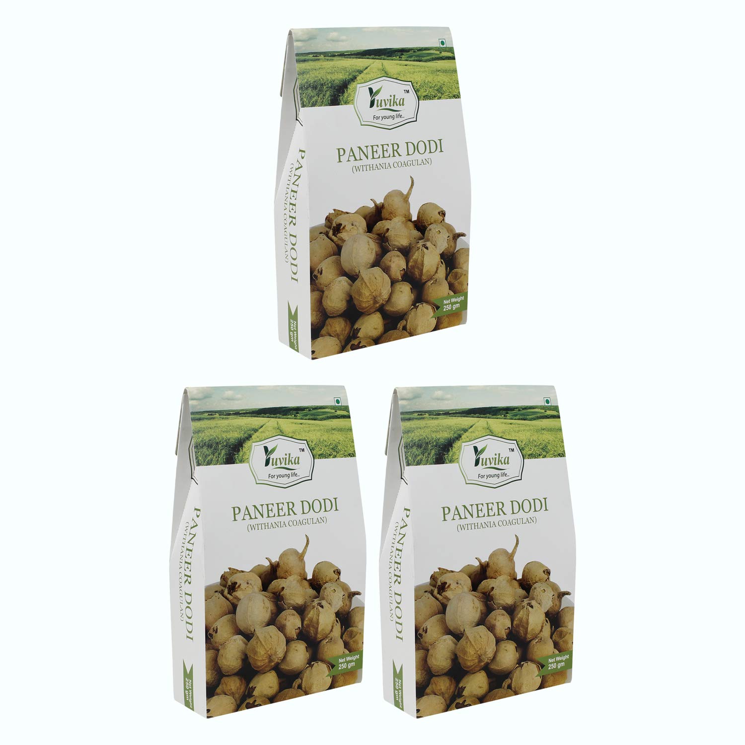 YUVIKA Paneer Dodi - Paneer Ke Phool - Withania Coagulan 250 Grams Pack of 3 Boxes (B07M84N1NR) Amazon Price History, Amazon Price Tracker