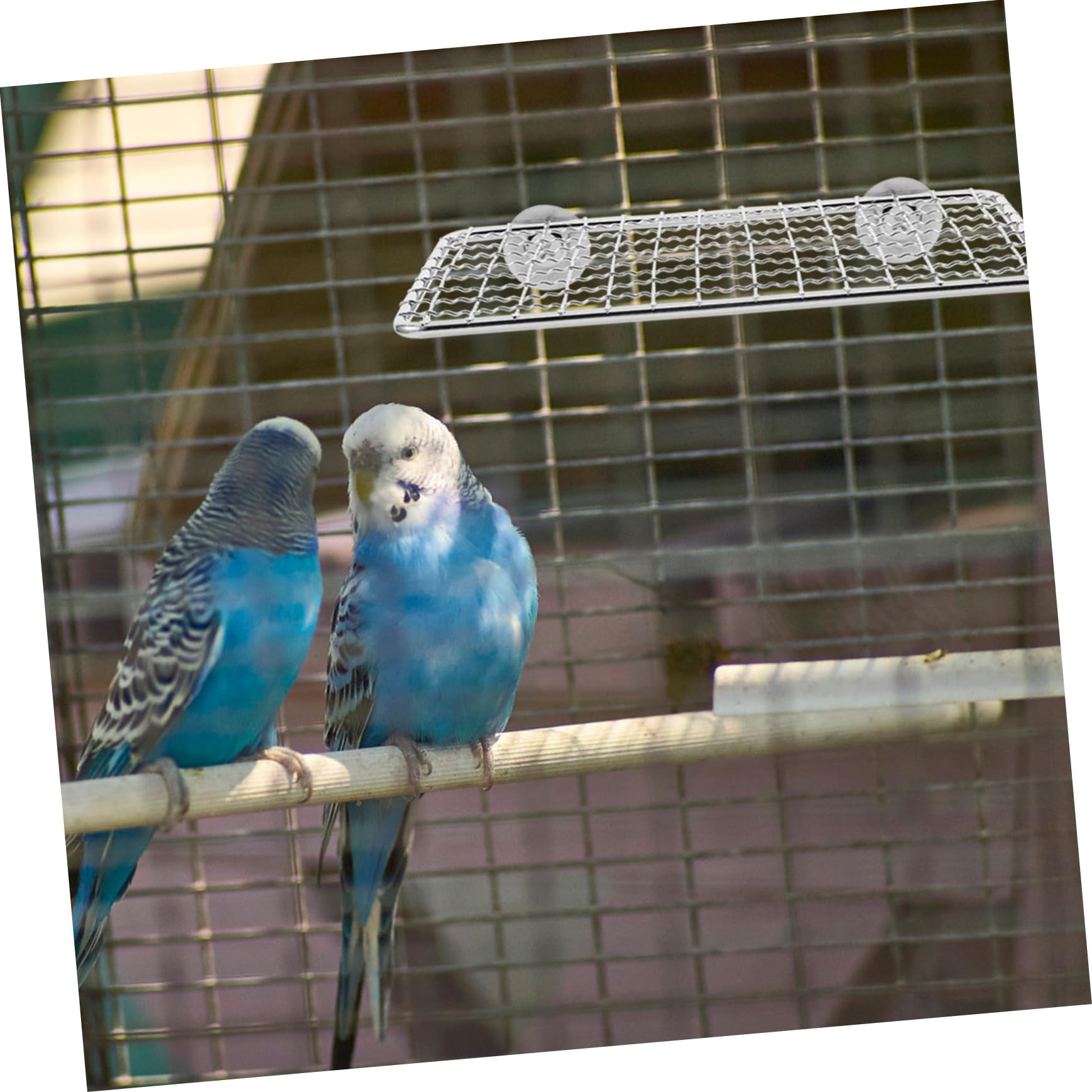 HEMOTON Stainless Steel Parrot Resting Platform 2-Pack Medium Bird Perch Stand for Parakeets Cockatiels Cage Accessories Suitable for Home and Pet Shops - Image 4