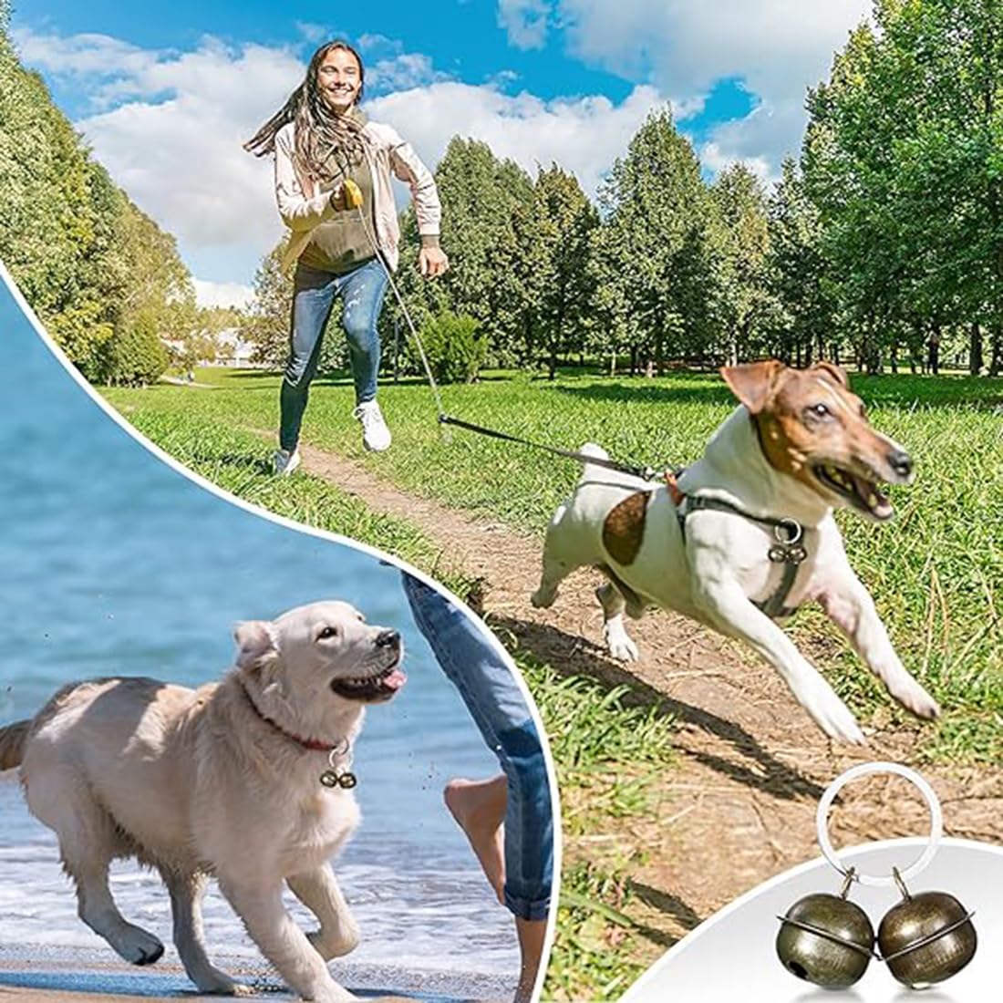 Campanelle per cani, 4 campane per collare per cani e gatti, imbracatura e decorazione per collare da addestramento