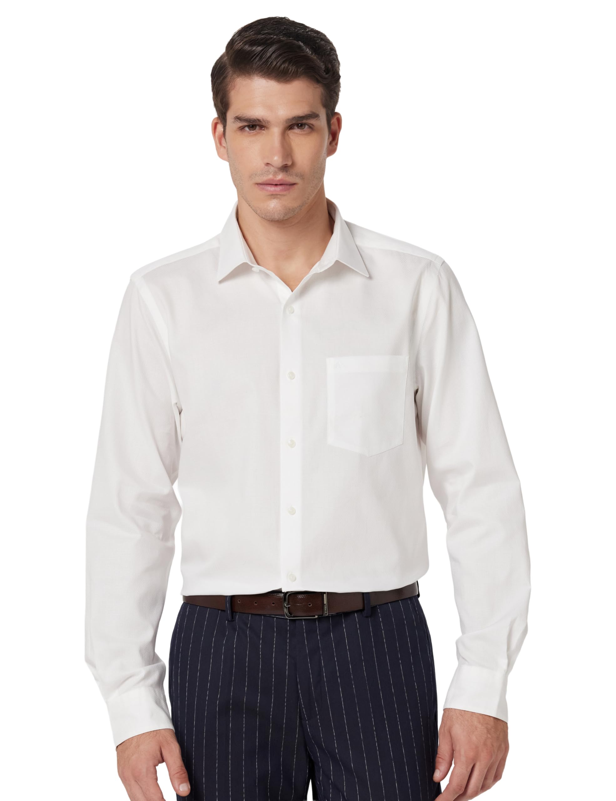arrow Men's White Solid Spread Collar Full Sleeve Formal Cotton Regular Fit Shirt-picture-12