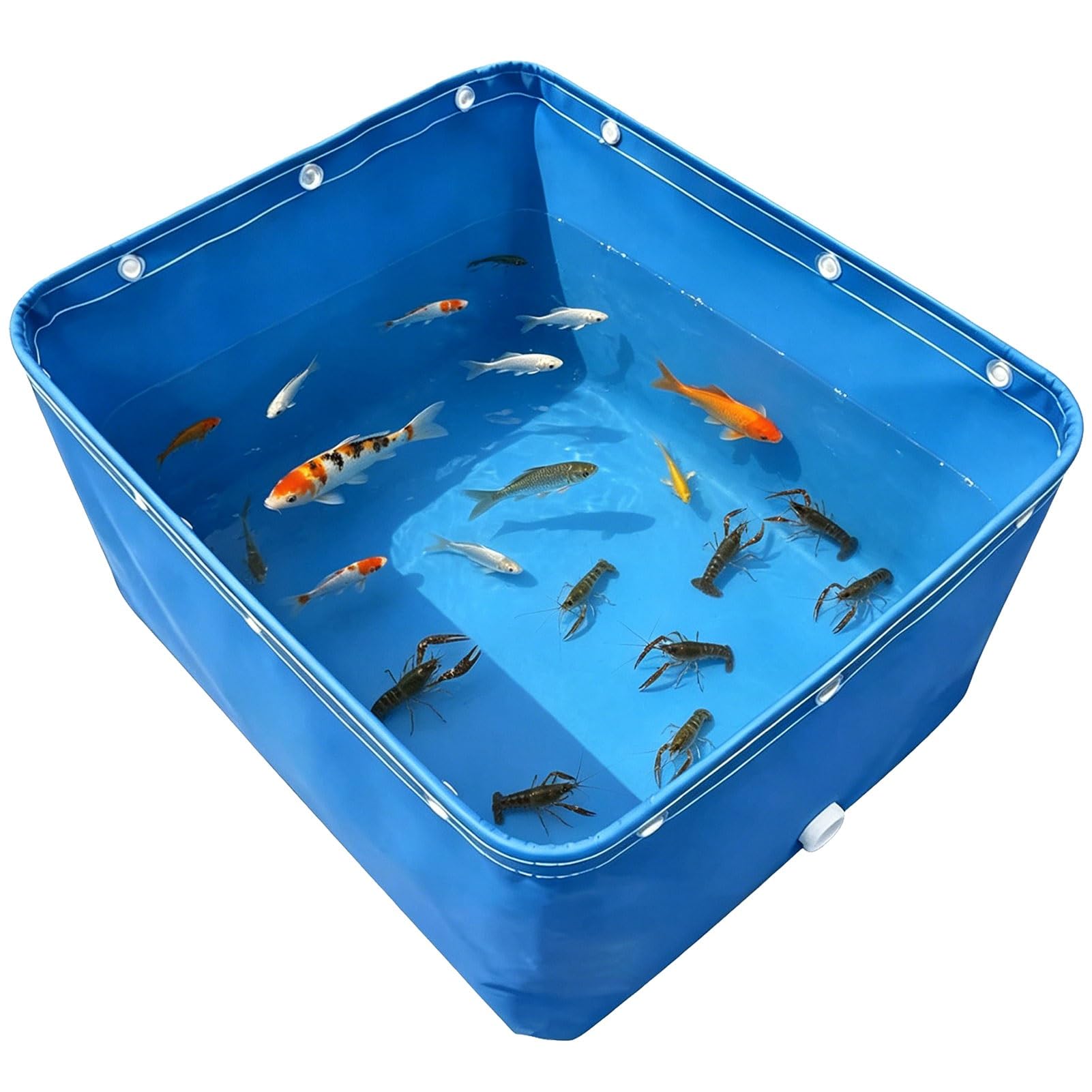 Piscine hors sol portable et pliable en toile PVC robuste 5x3m