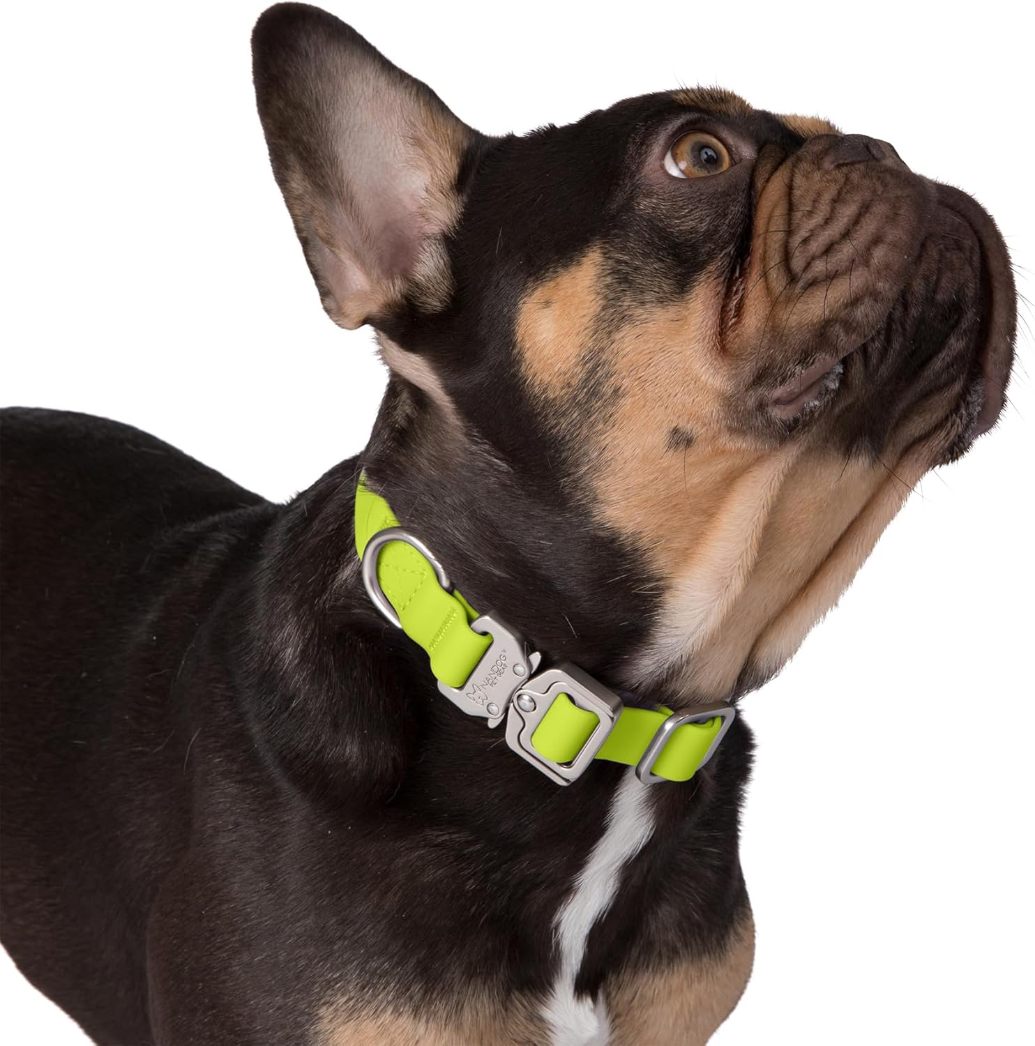 NANDOG The Signature Collection Waterproof Poly-Flex Sport Dog Collar in Small, Neon Green - Durable & Adjustable Design - Comfortable Fit for Active Dogs - Ideal for Outdoor Adventures