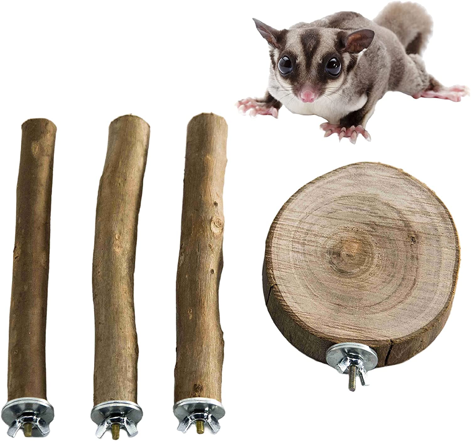 Asta eucalipto naturale giocattolo arrampicata motivo zampa molare