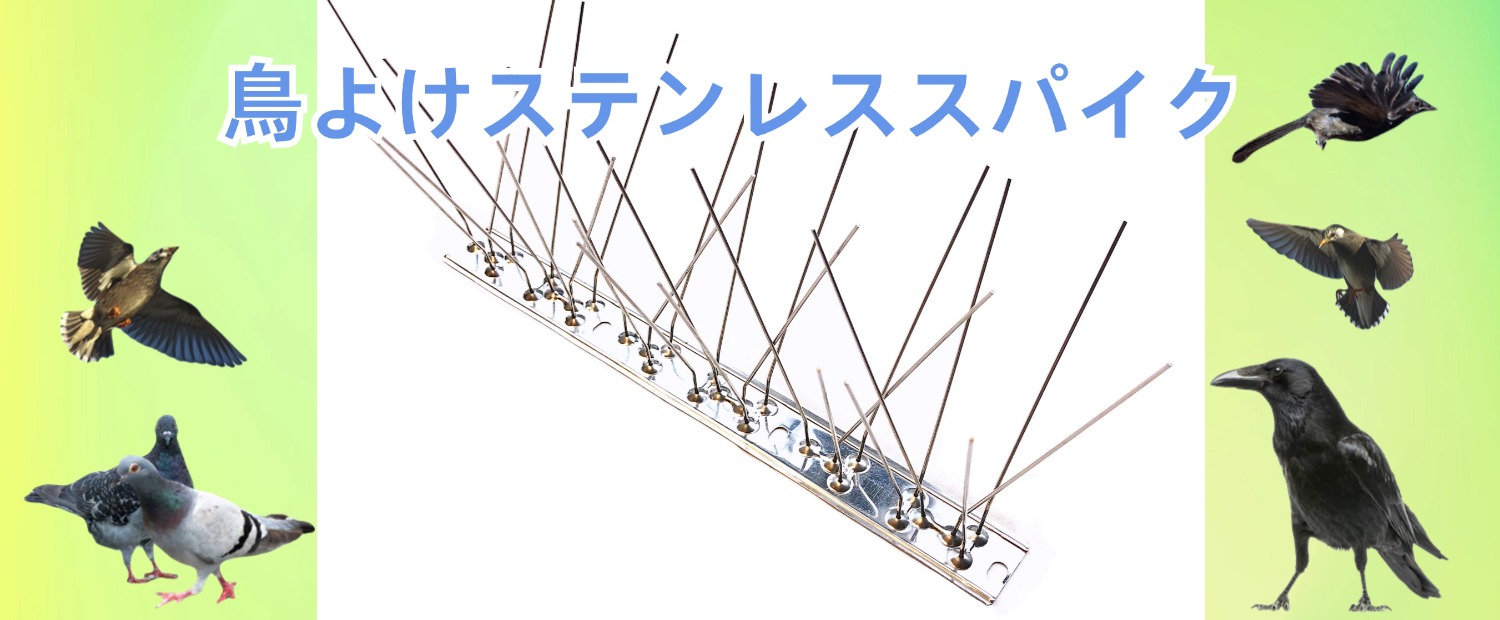 Amazon.co.jp: ONESORA 鳩避け 鳥よけ 100%ステンレス製 バードピン