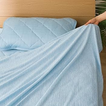 Amazon.co.jp: ニトリ 両面使える ひんやりケット モチモチ n-s ダブル