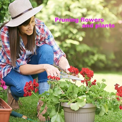 Miniatura 6 de Tijeras para aves de corral, 2 unidades, tijeras de carne resistentes, con resorte de acero inoxidable, tijeras de pavo y pollo, tijeras para