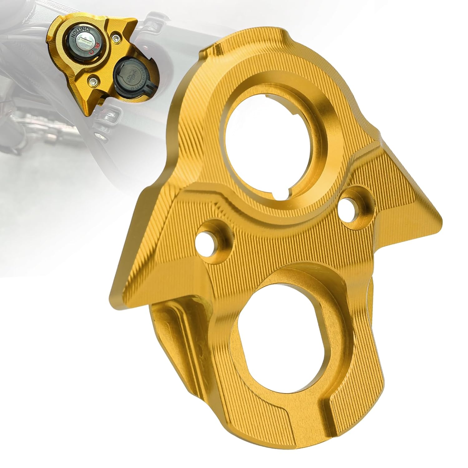 LKV Surron Ignition Cover, Key Ignition Switch Cover CNC Aluminum for Surron Light Bee X S LBX & Segway X160 X260, Ignition Protection Surron Accessories (Gold)
