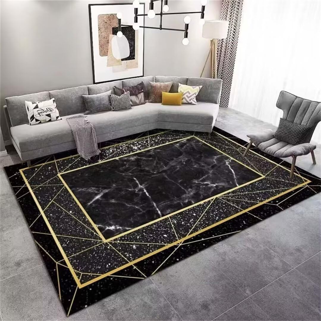 Moquette chambre moderne et décoration de salon avec tapis noir
