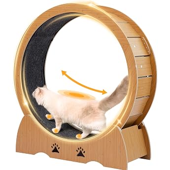 Cat Wheel, Cat Wheel, Treadmill for Cats, Diameter 39.4 inches 100 cm, Cat Running Wheel, Spinning Wheel for Cats, Relieves Lack of Exercise, Low Noise and Locking Device, Japanese