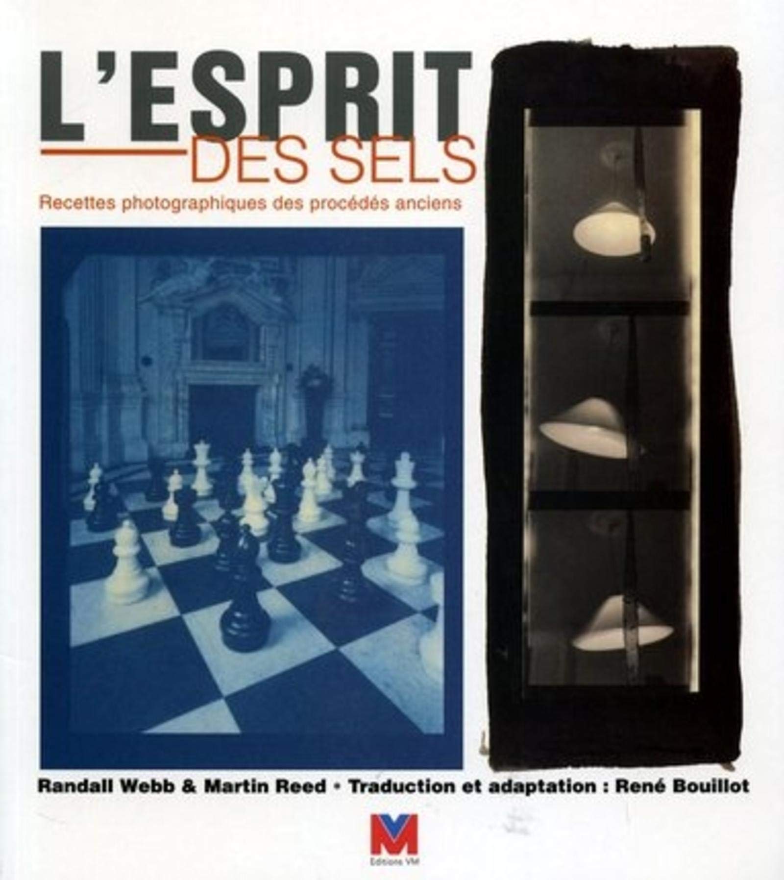 L'esprit des sels: Recettes photographiques des procédés anciens