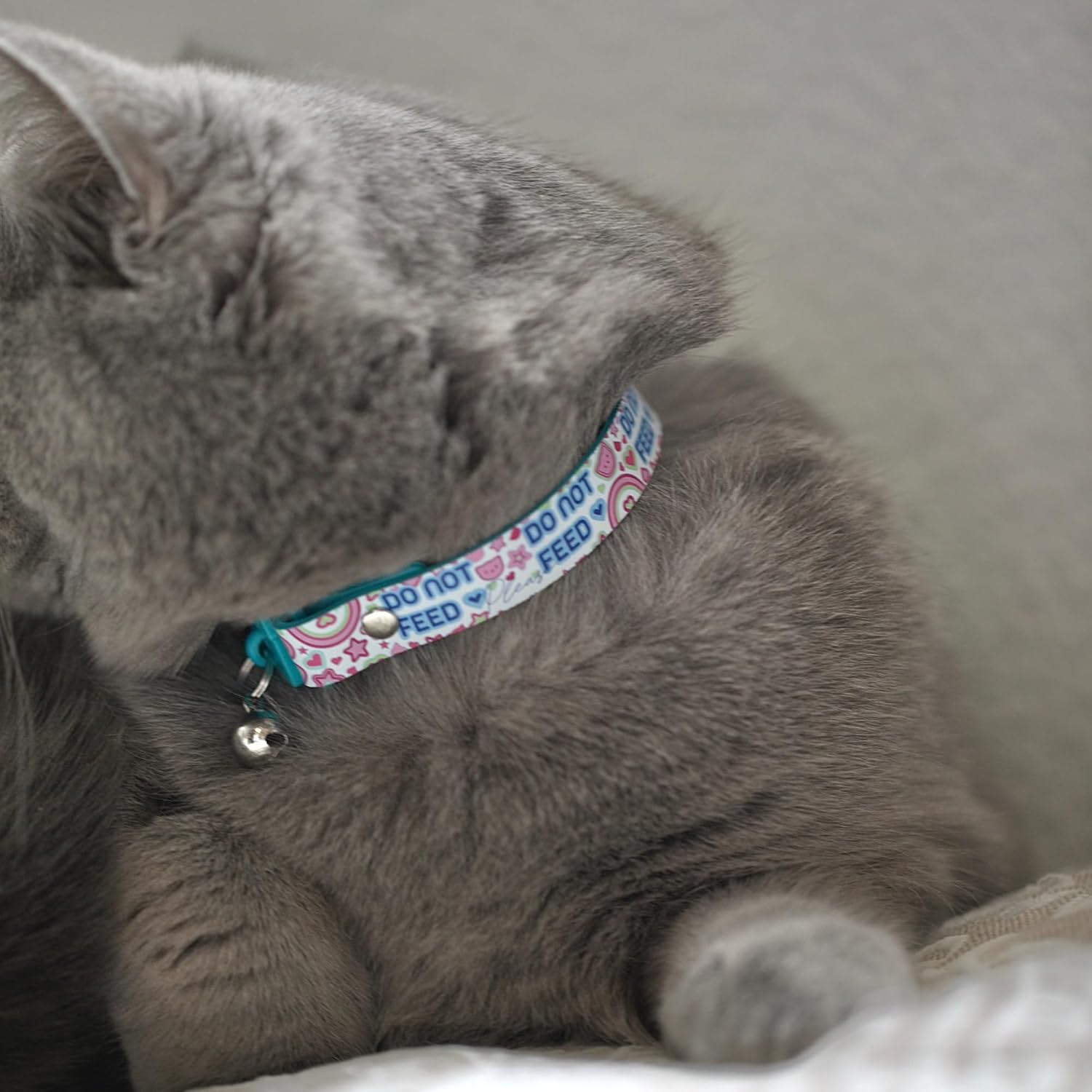 New Kittyrama No Feed Cat Collar with Bell. Breakaway, Quick Release, Hypoallergenic, Vet Approved. Lightweight Kitten Collar. As Seen in Vogue. Soft & Comfy. Pearl image 3