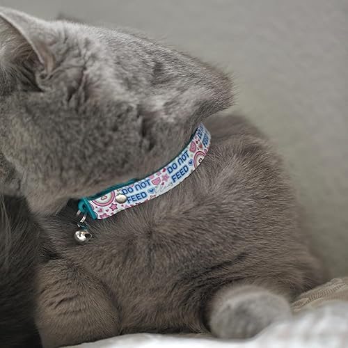 Vista 85 de Kittyrama Collar de gato Aqua con campana, ganador del premio, aprobado por veterinarios, liberación rápida, ligero y cómodo