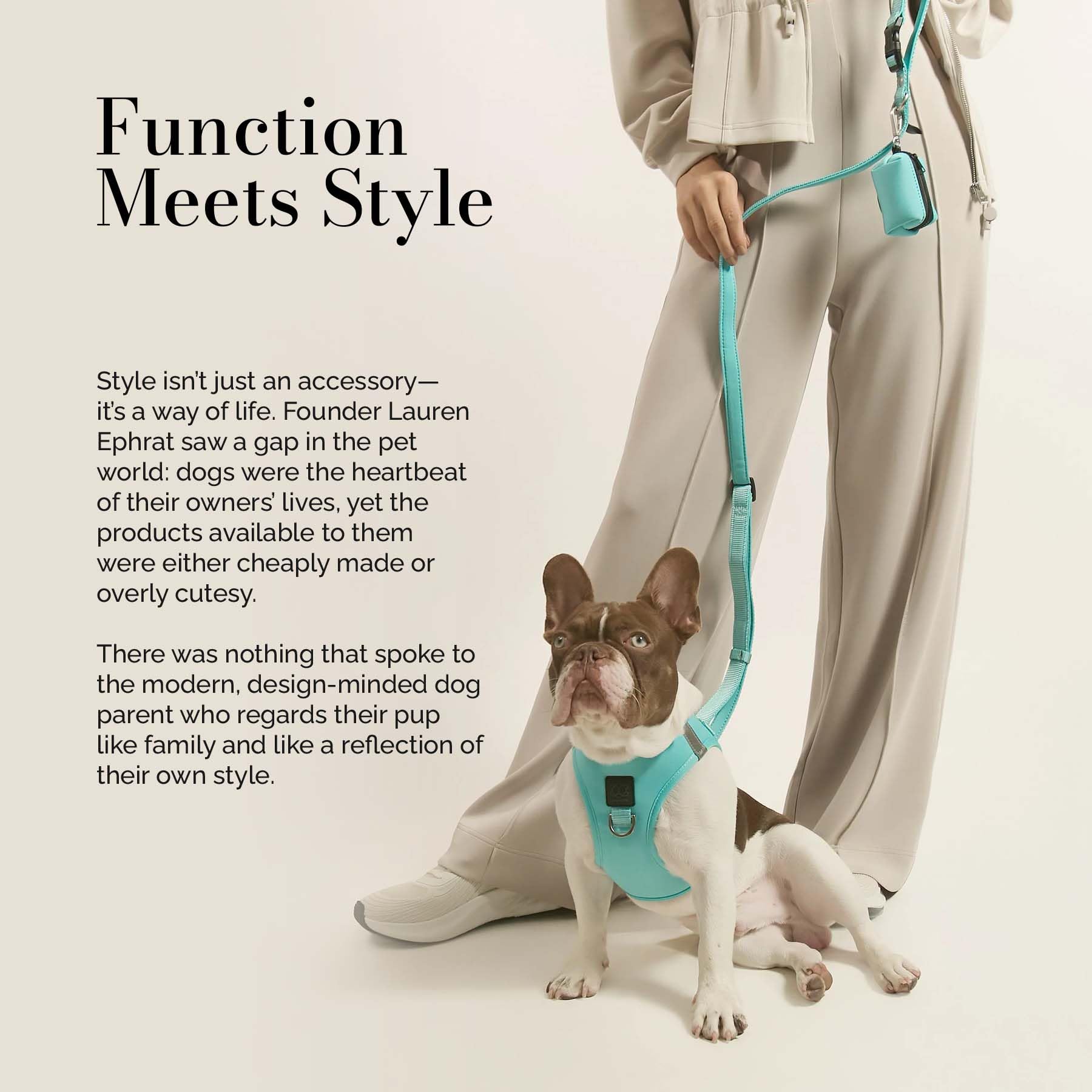 DOGISTRY SoHo Hundegeschirr – preisgekröntes Luxus-No-Pull-Design – hergestellt für Stil, Komfort und Innovation – Fifth Avenue – Größe XS (1,8–3,2 kg)