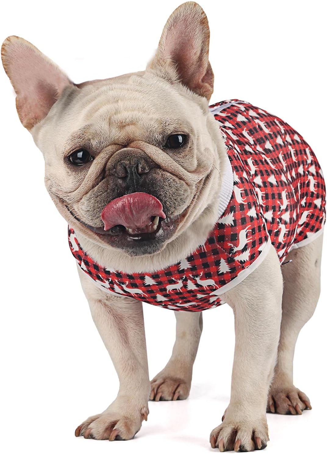 Etdane Dog Surgical Recovery Suit Pet Onesies Cat Bodysuit Post