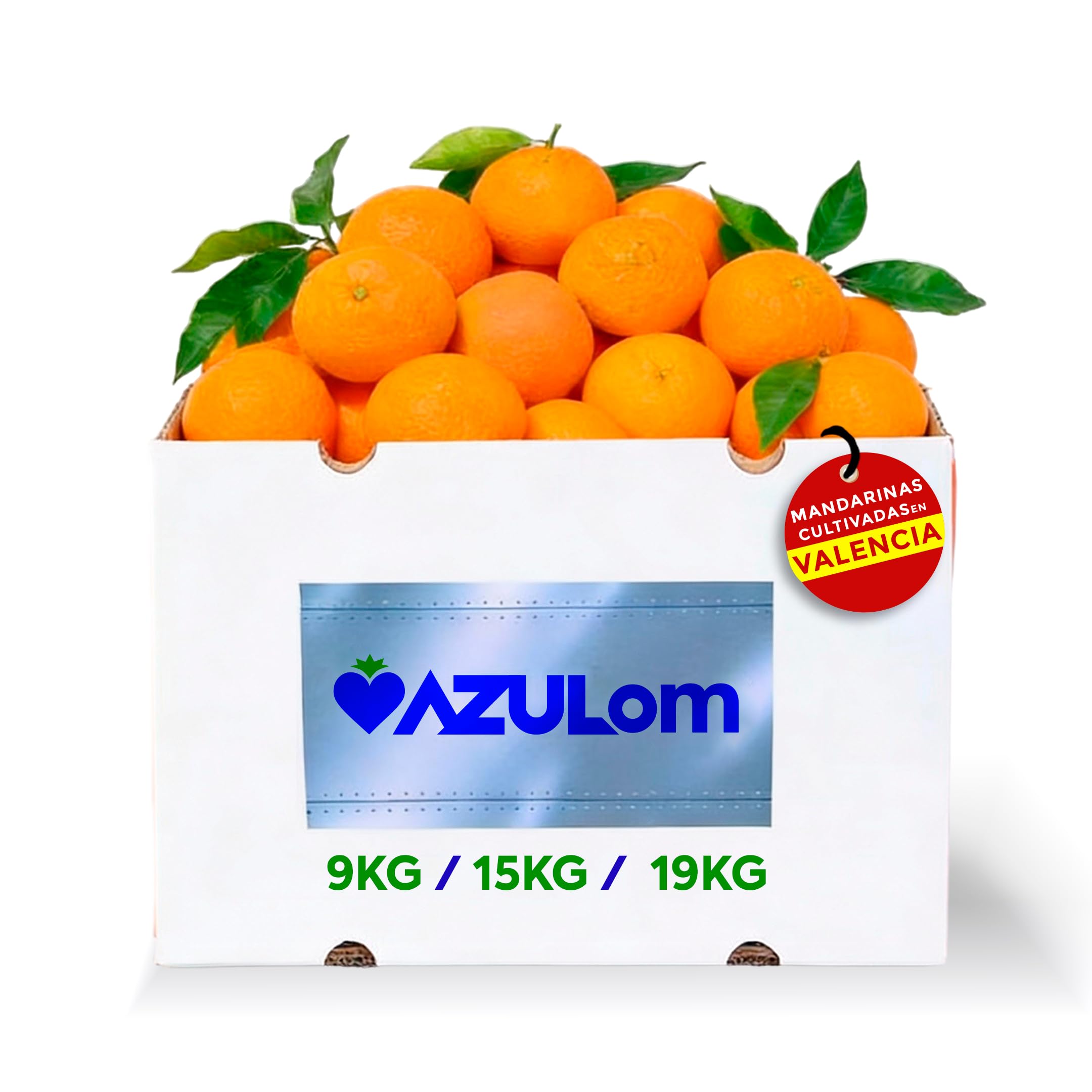 MANDARINAS FRESCAS DE VALENCIA DIRECTAS DEL ARBOL RECIEN RECOLECTADAS - DEL ARBOL A TU MESA SIN TRATAMIENTOS POST COSECHA - CAJAS DE 9, 15 Y 19 KG - FRUTA NATURAL VALENCIANA (9KG)