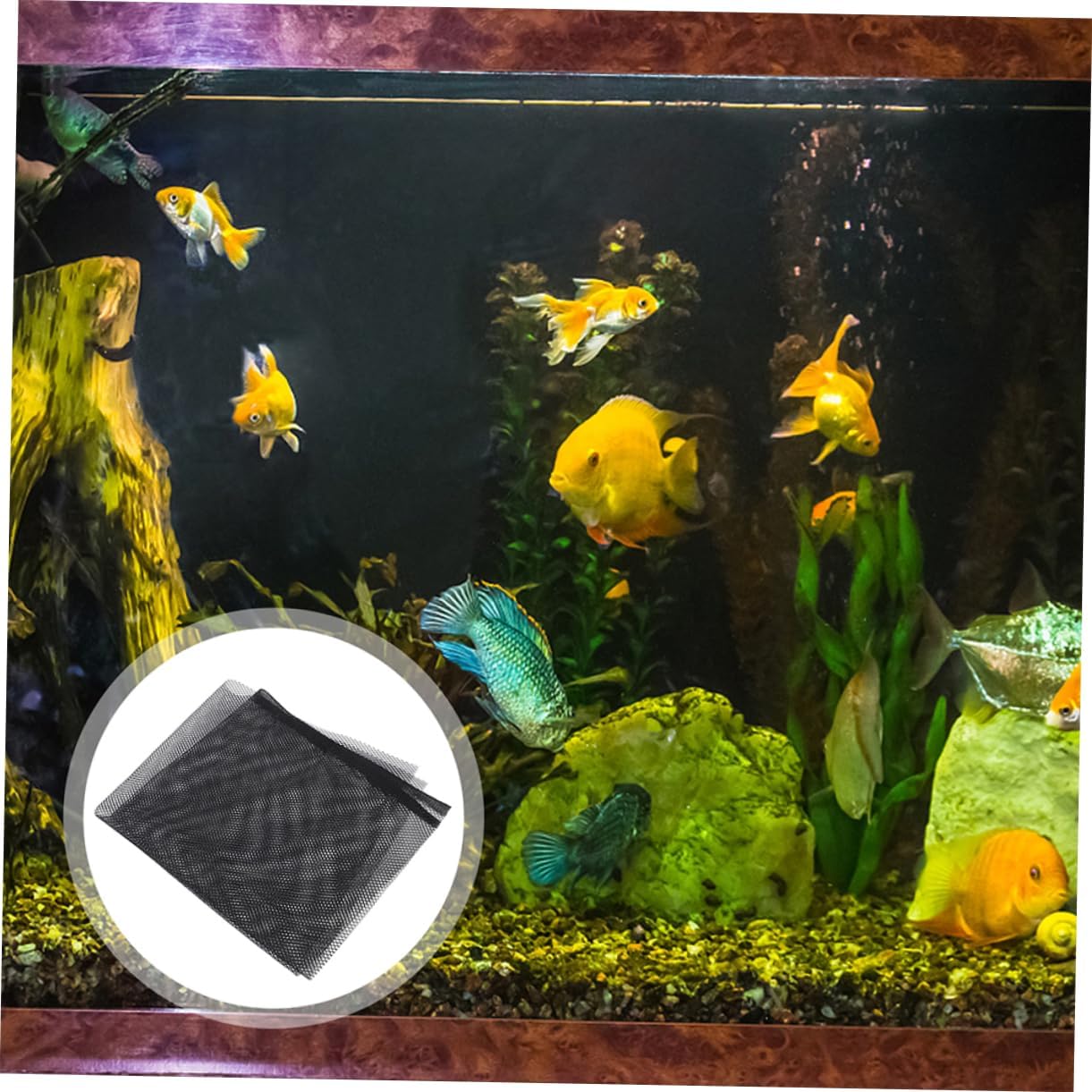 Sosoport Fish Tank Jumping Mesh Covers Durable Plastic Panel for Betta Fish Aquarium Netting Easy Setup Breathable Design for Optimal Air Circulation