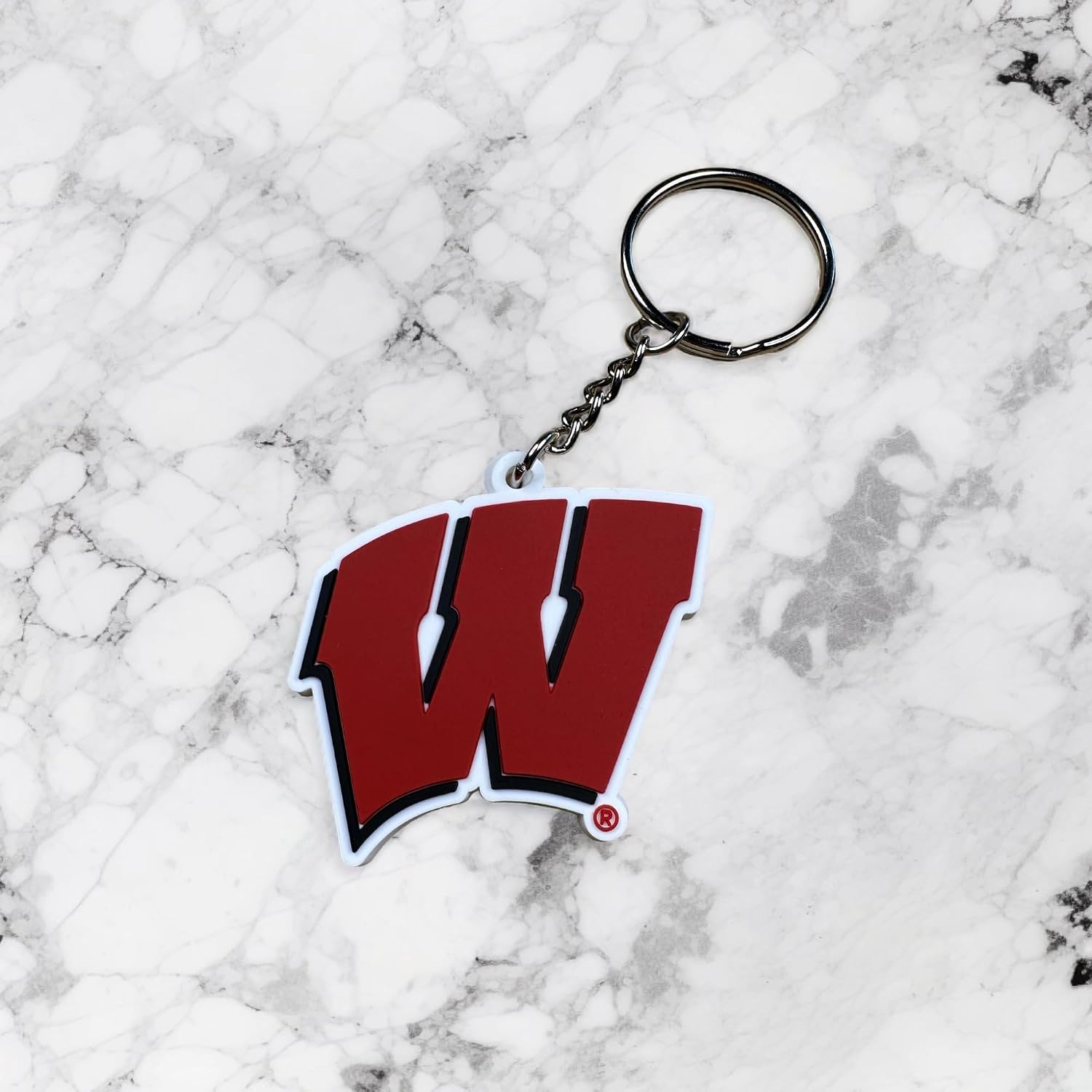 Desert Cactus University of Wisconsin Keychain UW Badgers Car Keys Holder (PVC)