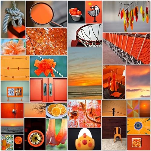 Posterazzi Collection Orangina Collage - Póster de Gail Peck (24 x 24)