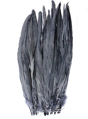 Miniatura 2 de CENFRY Nature Rooster Coque Tails Feathers - Decoración de manualidades de 12-14 pulgadas, paquete de 50 (negro)