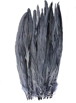 CENFRY Nature Rooster Coque Tails Feathers Costume Craft Decoration 14-16inch Pack of 25 Gray
