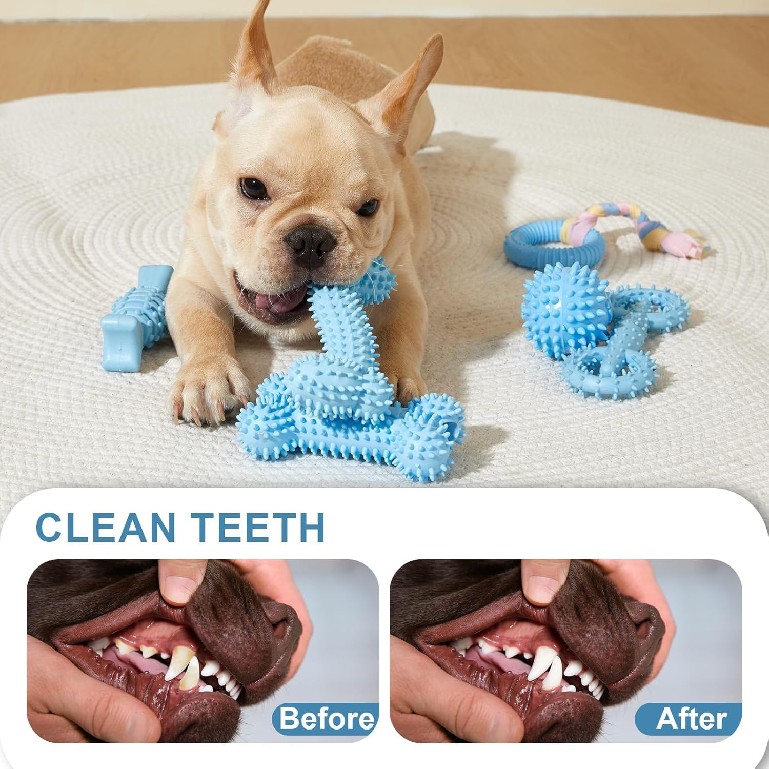 MEISO 5 Pezzi Giochi da Masticare per Cani, Giocattolo da Masticare, Giocattoli per Cani Cigolanti Pulizia dei Denti, Giochi per Cani Indistruttibile, Cani in Gomma per Cani di Piccola e Media Taglia