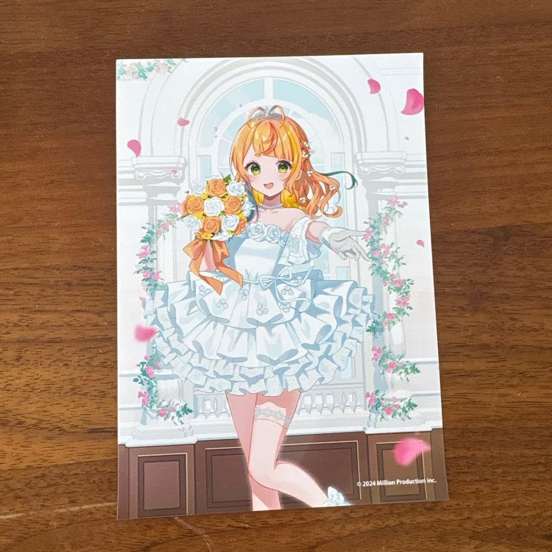ミリプロ ジューンブライドブロマイド2026 まとめ売り 2L版 ミリプロ