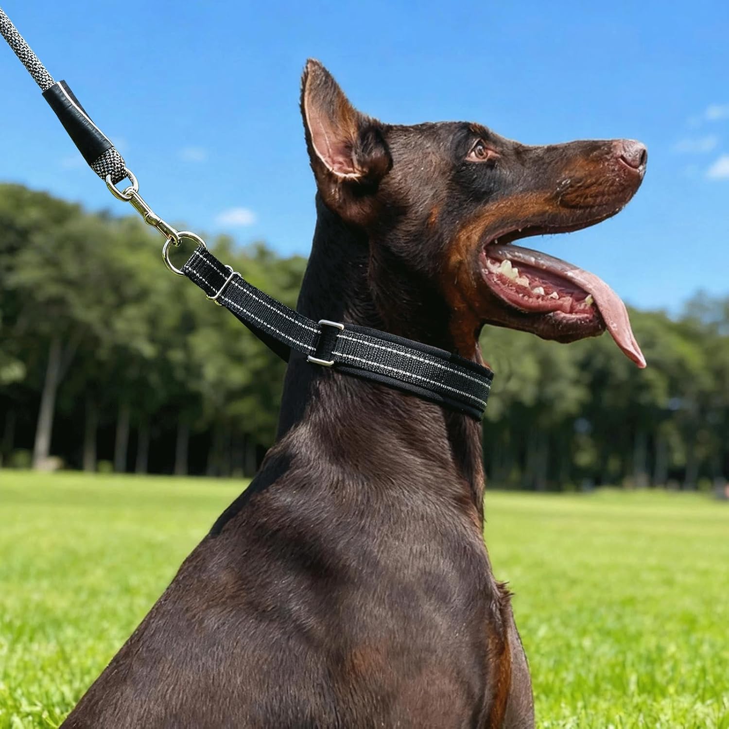 Hidden Prong Collar, Heavy Duty Martingale Design With Quick Release Metal Buckle, 2.25mm Pinch Collar for Dog Behavior Training & Daily Walking, Adjustable 12in-18in for Medium to Large Dogs