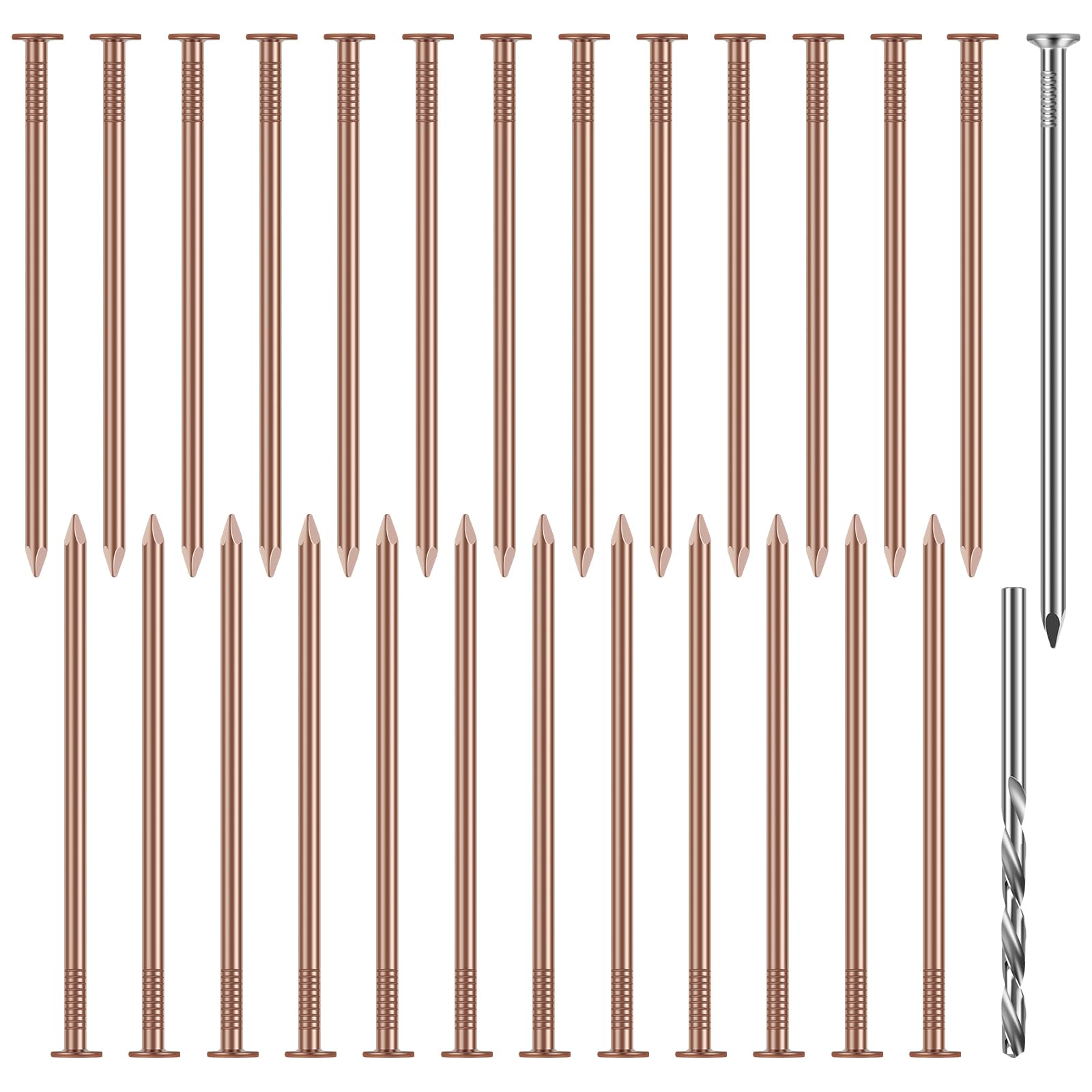 23Pcs Copper Nails Kit, 3.5 Inch Stump Removal Spikes, Hardware Nails with Steel Nails Drill Nails Solid Long Pure Copper Nails, Pure Copper Nails, Stump Removal Tool for Trees Stumps Landscaping