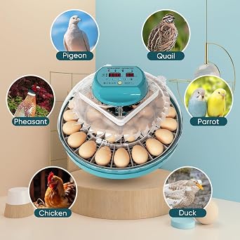 Egg Incubator for Hatching 15/30 Eggs Automatic Turning with Humidity Control and Display, Eggs Incubators for Hatching Eggs, Automatic Egg Incubator for Quail/Turkey/Pigeon (15 Eggs)