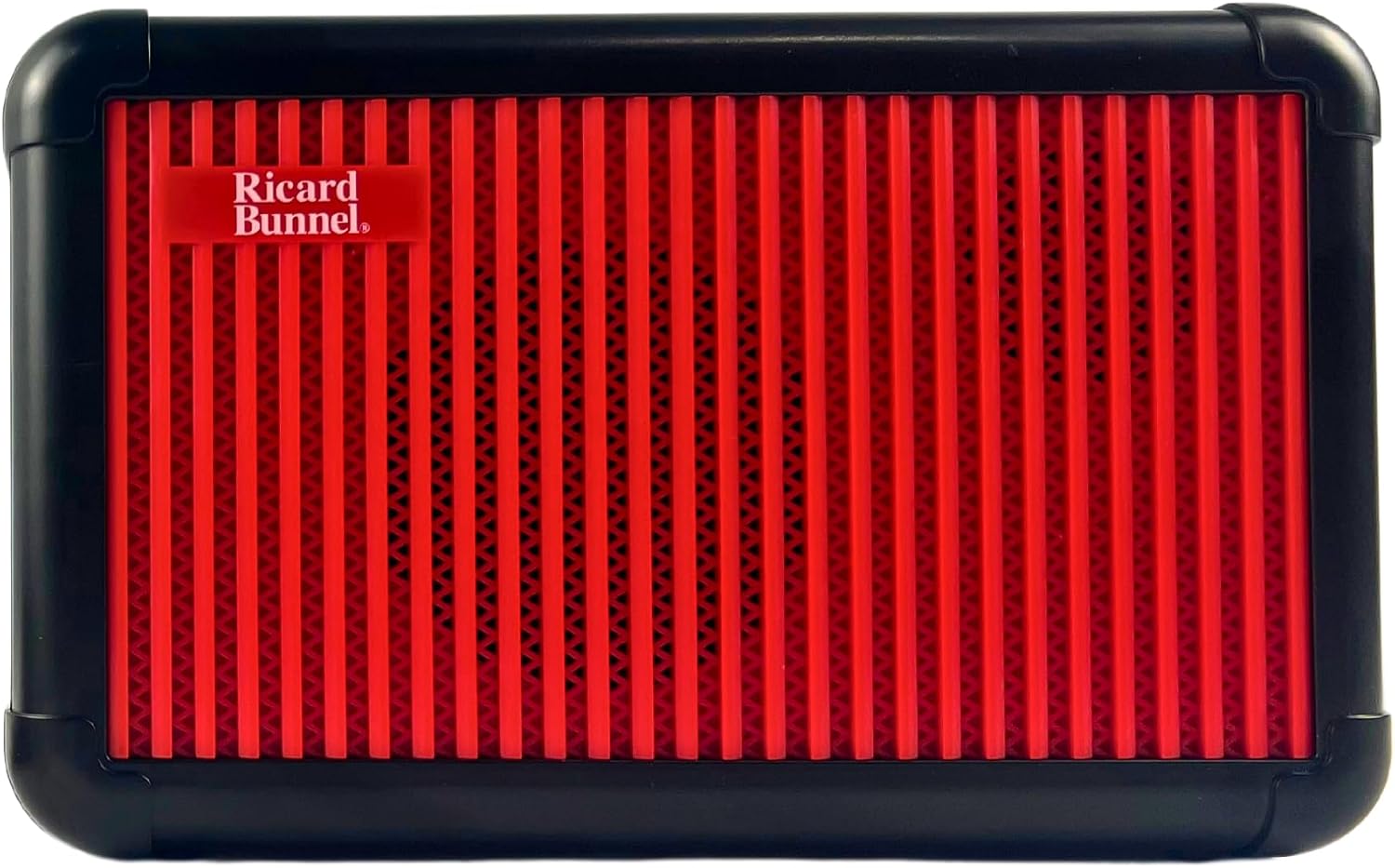 Ricard Bunnel Professional Violin Amplifier-Violin Amp