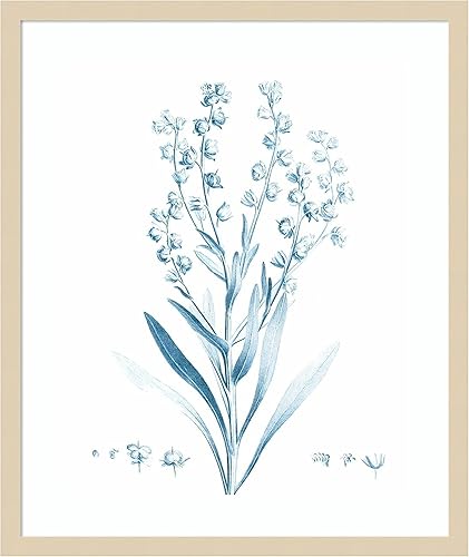 Miniatura 12 de Amanti Art Vision Studio - Lienzo decorativo para pared, 24 x 20 pulgadas, botánico antiguo en azul I por Vision Studio, arte de pared de flores,