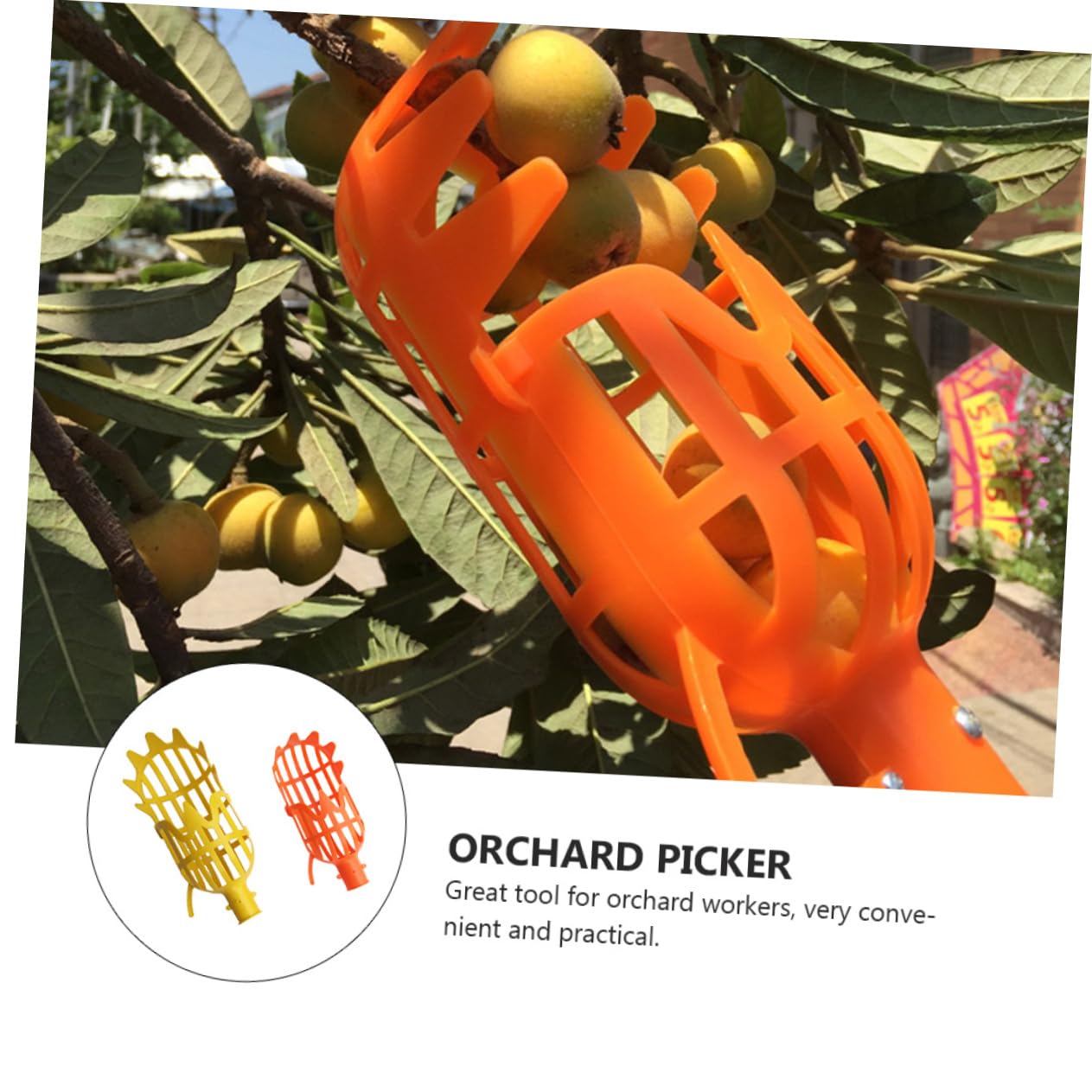 Kisangel 6stücke Teiliges Obstpflücker Orange Gelb Praktisches Erntewerkzeug Mit Teleskopierbarem Griff Für Verschiedene Obstsorten Wie Arbutus Birne