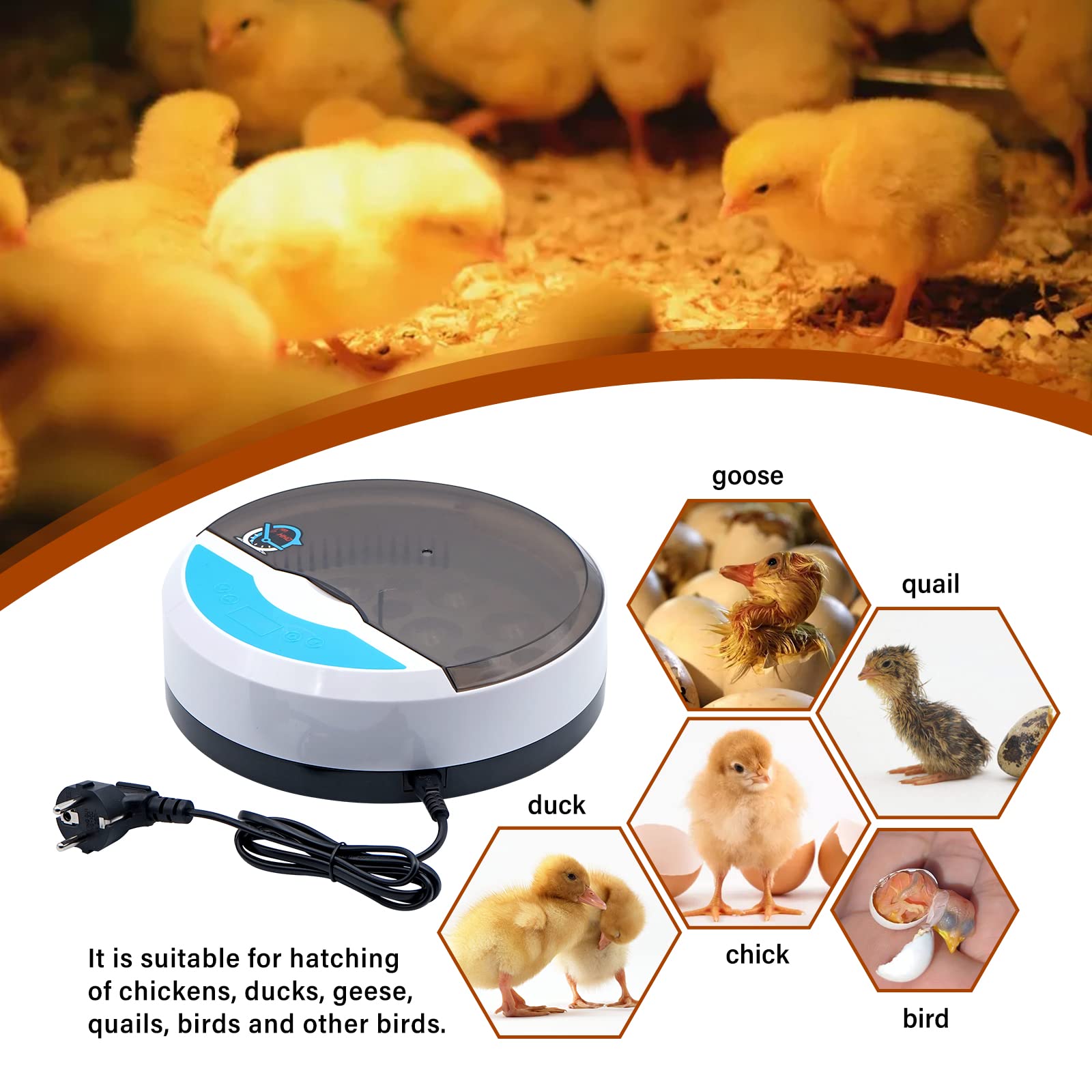 Mini 9 Huevos incubadora Chick con automático de Temperatura y Pantalla Digital LED incubadora Tortuga para Aves de Corral Reptil Regalo para niños
