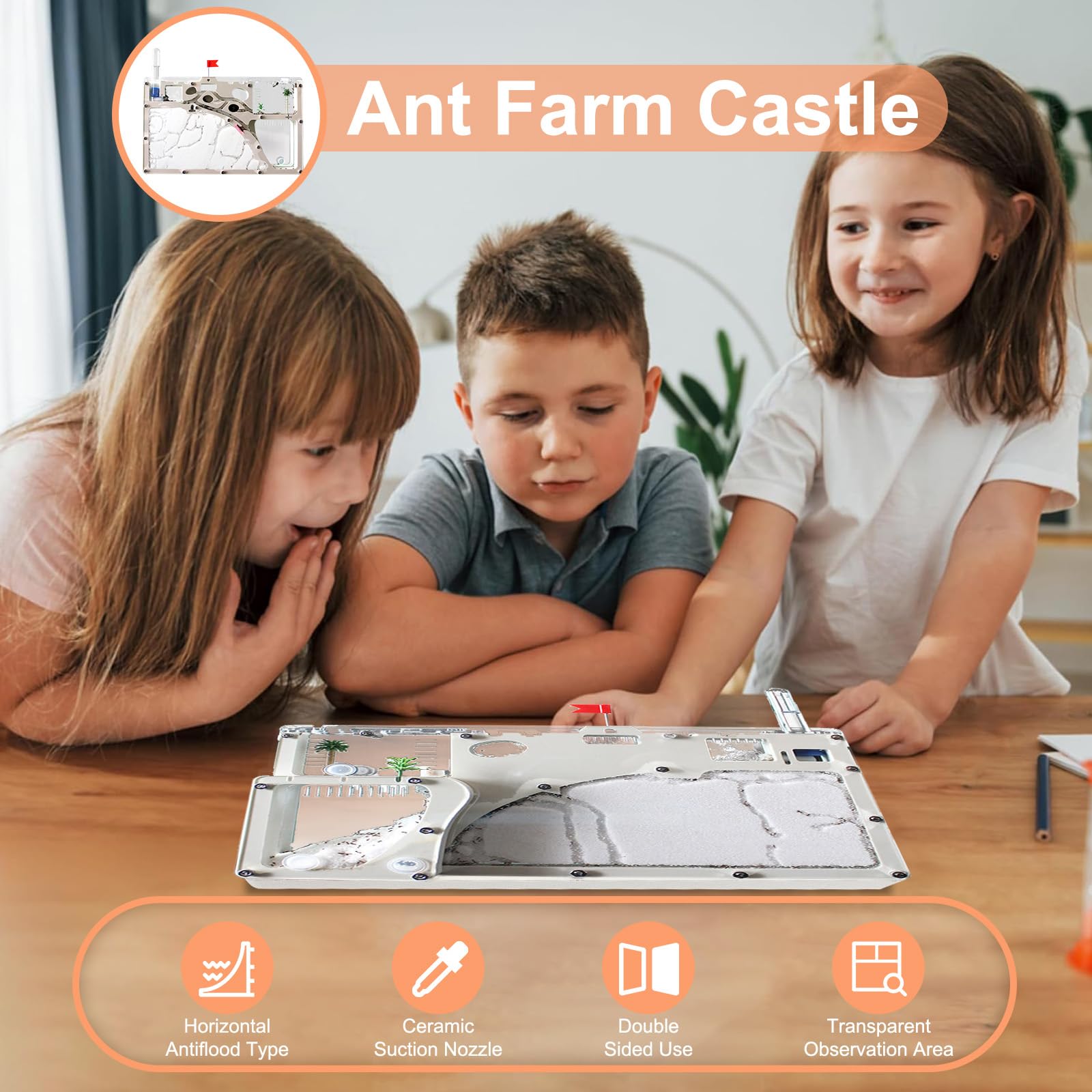 Farm Castle, Farm with Sand Habitat, Farm Kit Colony Observation Kit, Farms for Live Ants, Farms to Study Behavior Educational and Learning