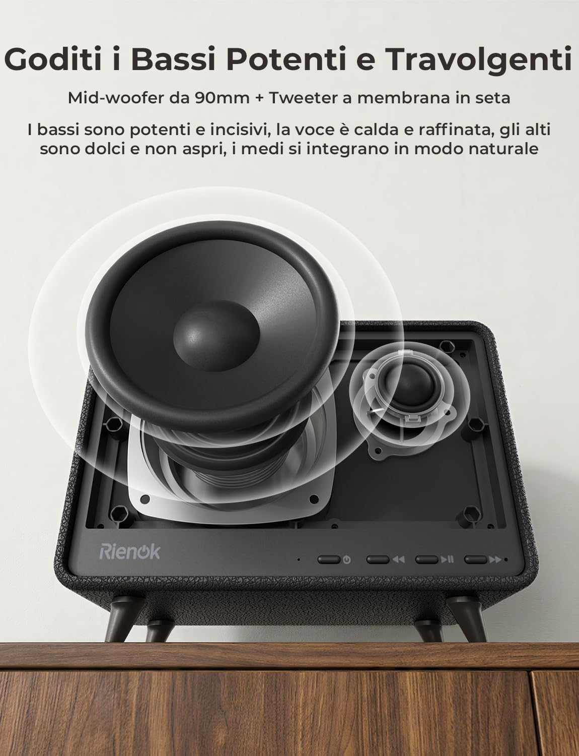 RIENOK Cassa Bluetooth Potente 40W Senza Fili Altoparlante Bluetooth Casa | Supporta USB/TF/AUX, Chiamate in Vivavoce, 24 Ore di Autonomia, Vero Stereo Wireless, Adatto per Feste in Salotto