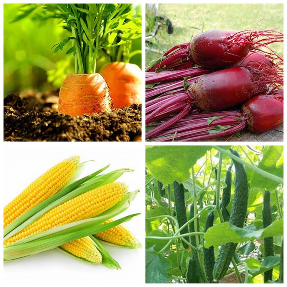 Película de mantillo de 1,2 MX 0,02 mm for Agricultura de Invernadero for el Crecimiento de Cultivos Vegetales | Promueve un crecimiento vigoroso de arroz, maíz y remolacha.(20m)