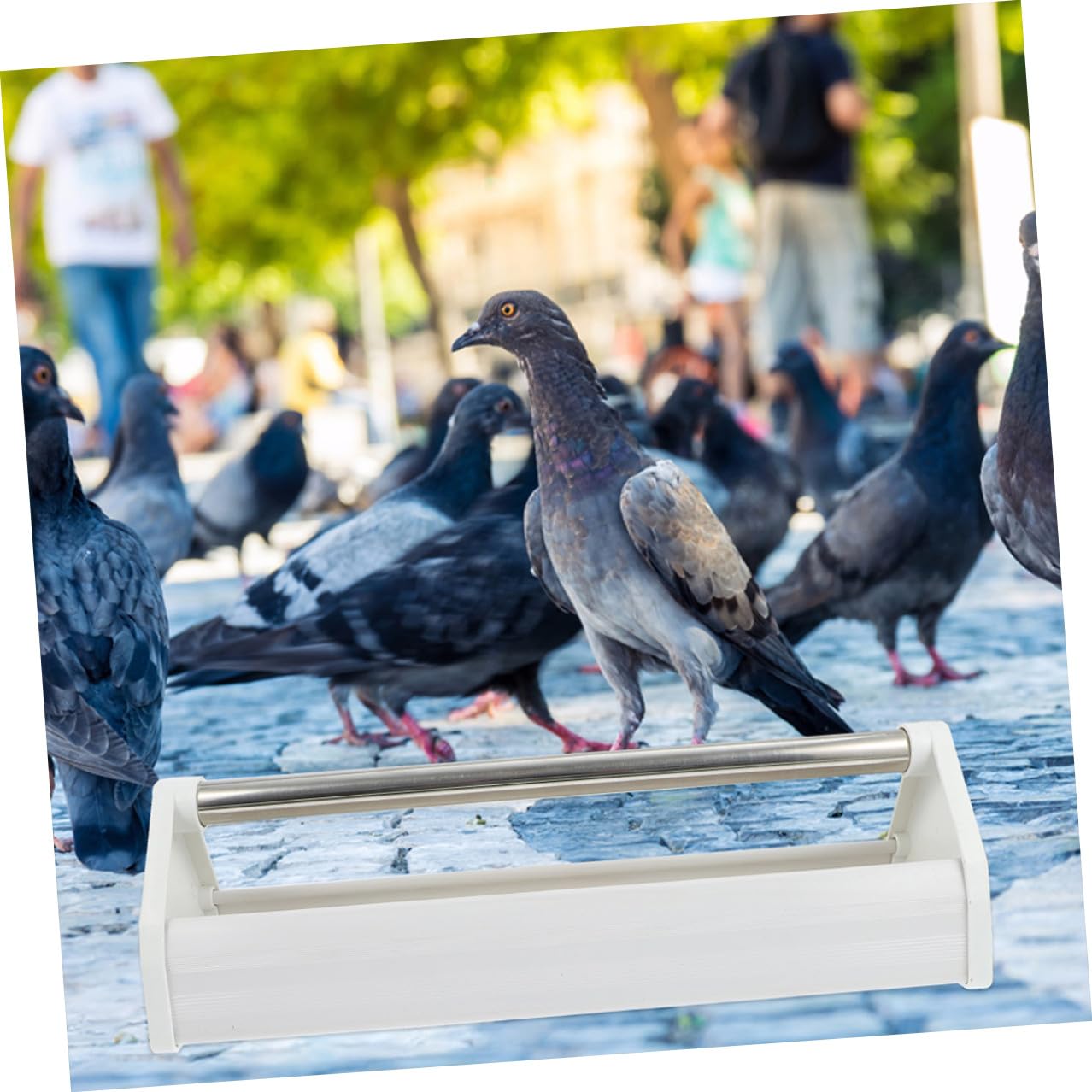 Mobestech Lot de 2 Mangeoires à Pigeons 40 Cm, Distributeur Nourriture Oiseaux en Plastique Renforcé, Acier Inoxydable, pour Cage et Volière, Alimentation Petits Oiseaux, Perruches