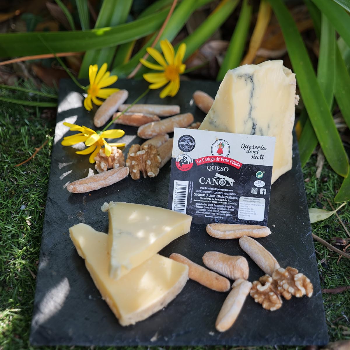 Queso Cañón PACK 2 Cuñas 300 g Al vacío Suave Mantecoso Cremoso Ceniza Vegetal