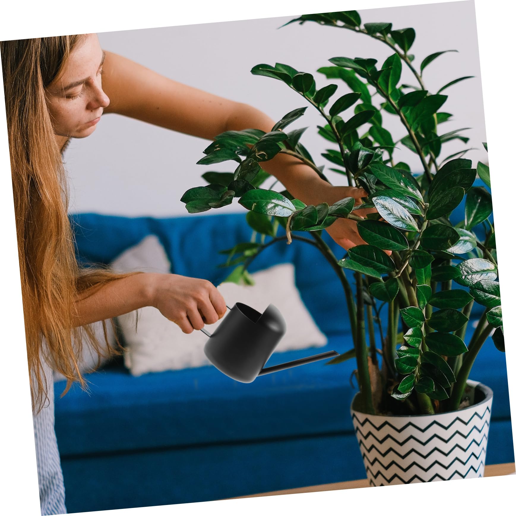 YARNOW 4 Pz annaffiatoio per interni colmar innaffiatoio Annaffiatoio regolabile piante d'appartamento casa annaffiatoi da giardino bollitori per annaffiare Acciaio inossidabile Black