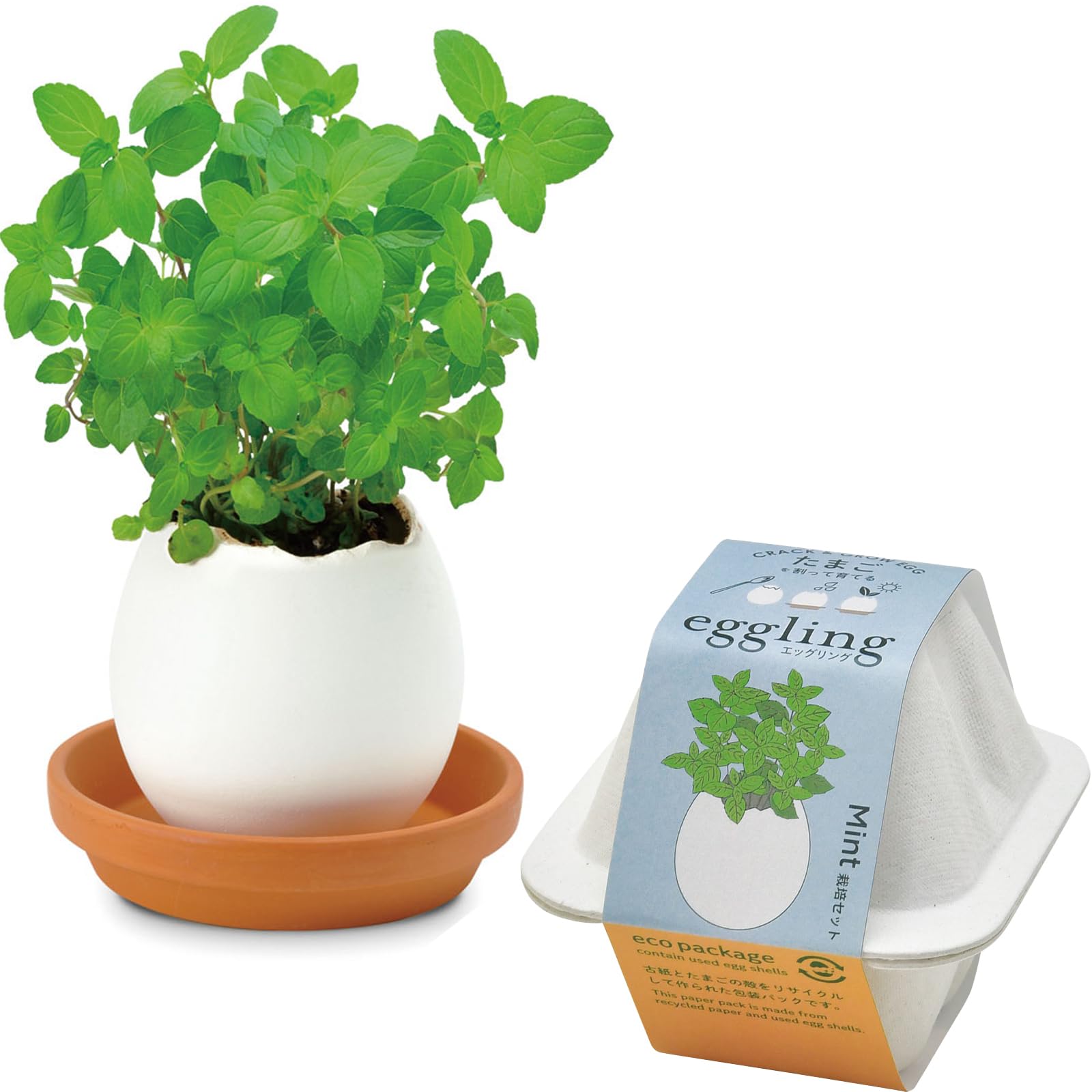 家庭菜園セット、ご予約承ります。 水耕栽培 キット セット 家庭菜園 プランター栽培 育苗 水耕栽培