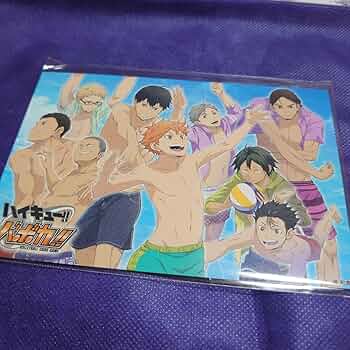 烏野高校バボカ HV-D01 ハイキュー!! バボカ!! BREAK スターターデッキ 烏野高校