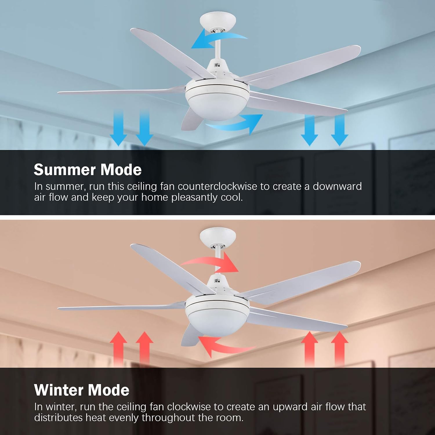 Buy Cjoy Ceiling Fan With Lights And Remote