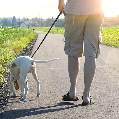 Miniatura 6 de LWBMG Correa de cuero para perro, resistente, trenzada, cómoda para perros grandes, medianos y pequeños, color negro