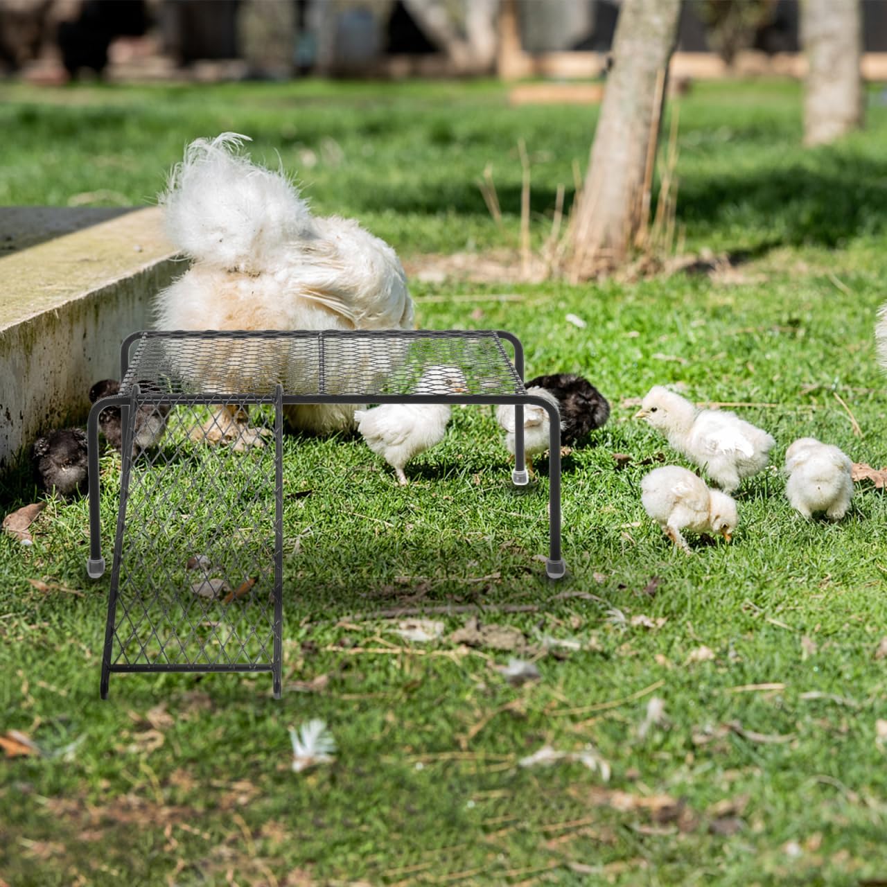balacoo 1 Set Chicken Feeder Waterer Stand - Metal Chicken Perch Ladder Roosting Rutted Coop Ladder Ramp for Coop Poultry Indoor or Outdoor (Black)