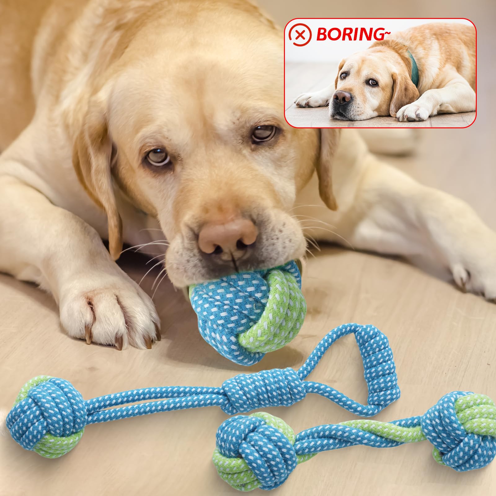 Amazon | JOPOY 7パックの子犬用ロープおもちゃ 犬ロープおもちゃ 犬