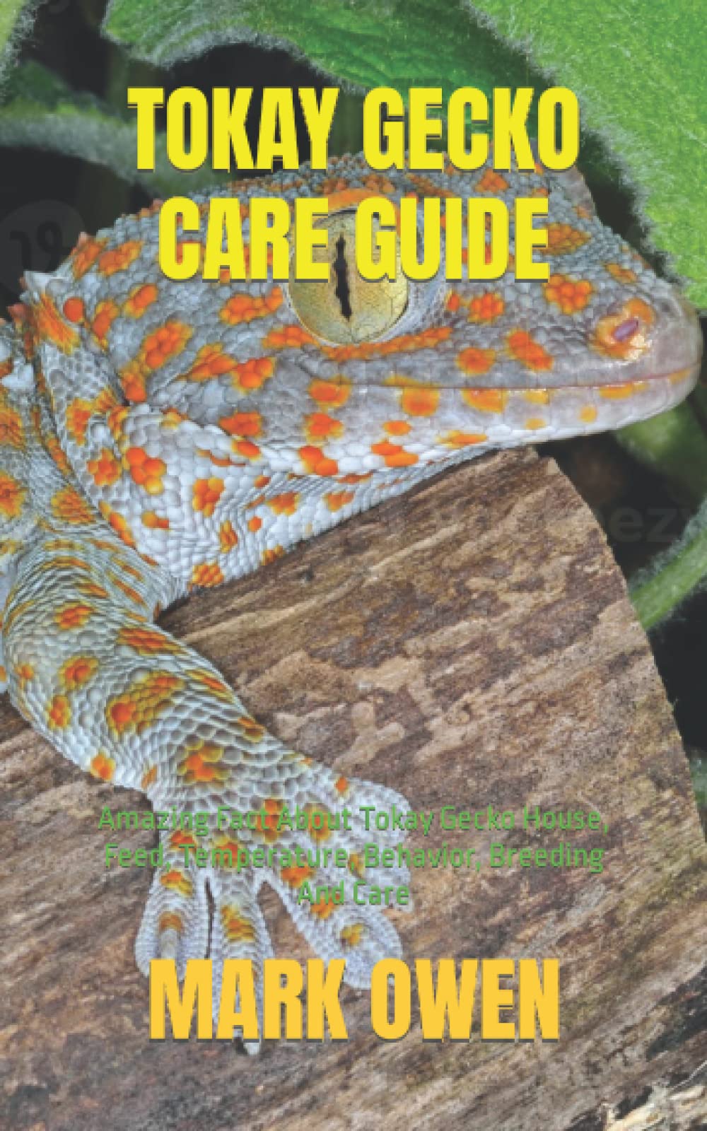 TOKAY GECKO CARE GUIDE: Amazing Fact About Tokay Gecko House, Feed, Temperature, Behavior, Breeding And Care