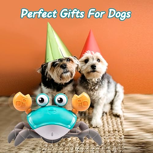 Miniatura 3 de Dusja Juguetes para perros de cangrejo gateante (verde)