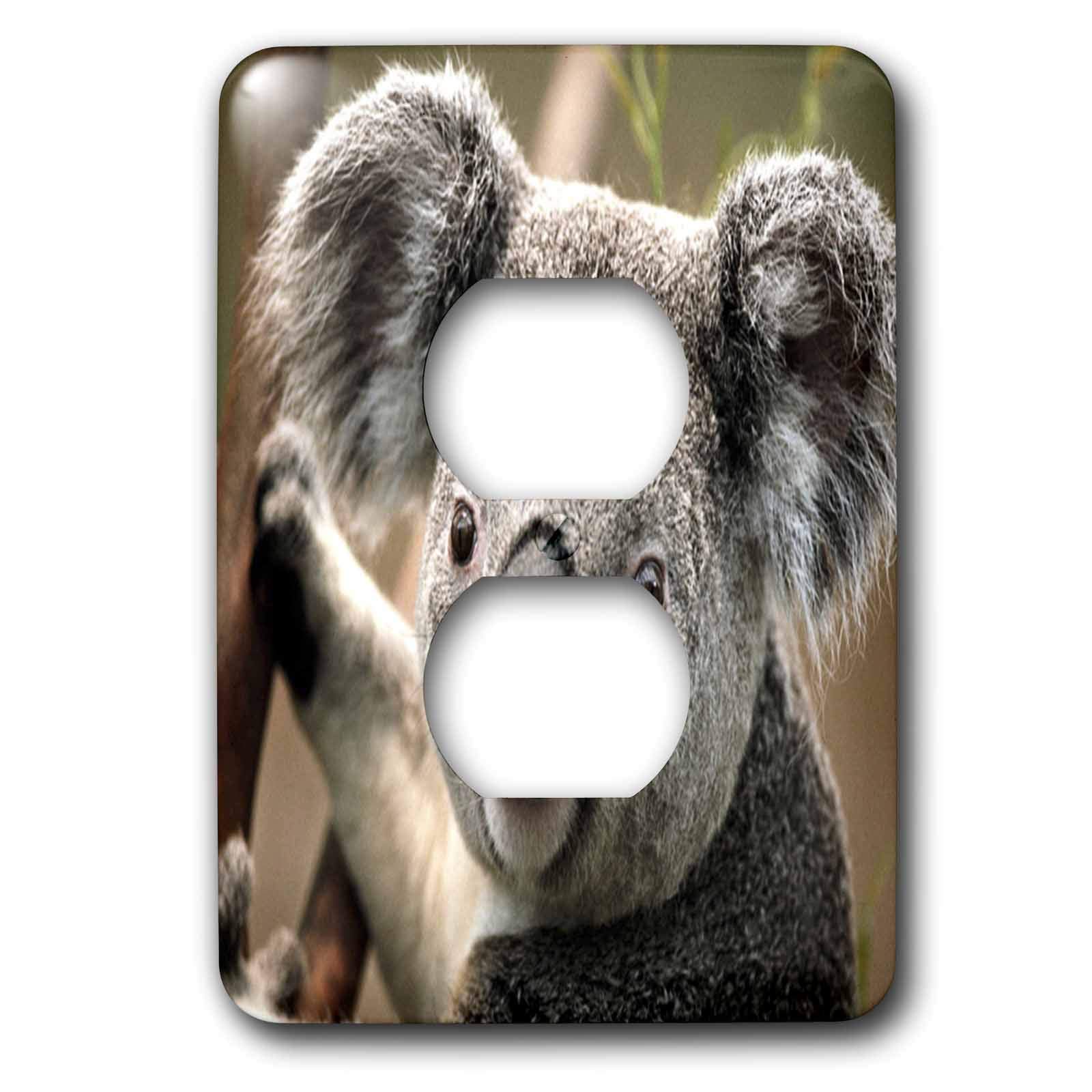 Koala cache-pot 3dRose LSP_49324_6 pot de fleur design faune sauvage