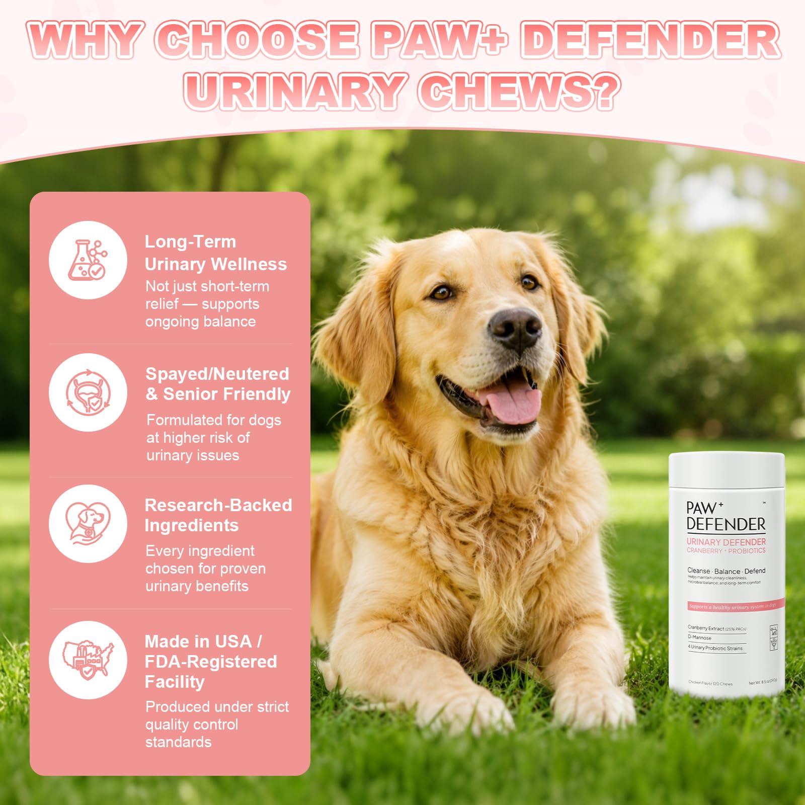 Dog UTI Treatment, Cranberry Supplement for Dogs,120 Chew,10 UTI Test Strip — Amazon image 9