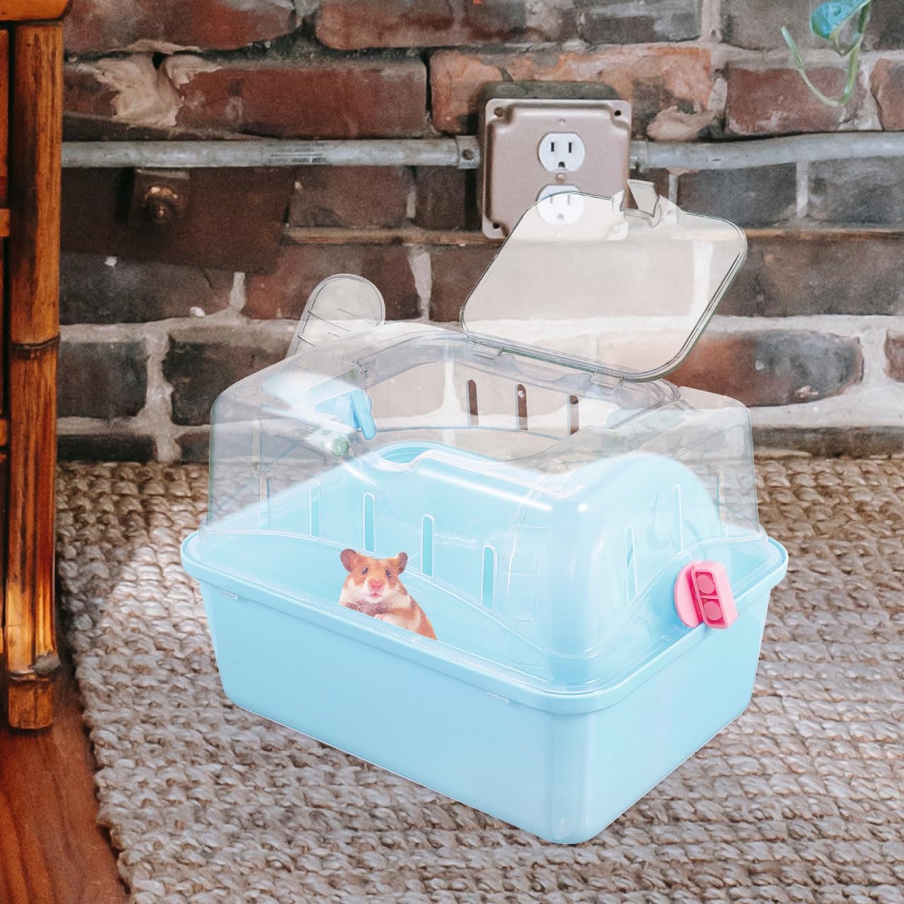 Toddmomy Gabbia Per Criceti Trasparente Con Tetto Panoramico Custodia Da Viaggio Robusta E Spaziosa Per Piccoli Animali Come Criceti E Topi 8.86X6.69X6.50In Trasportino Sicuro Per Esterni